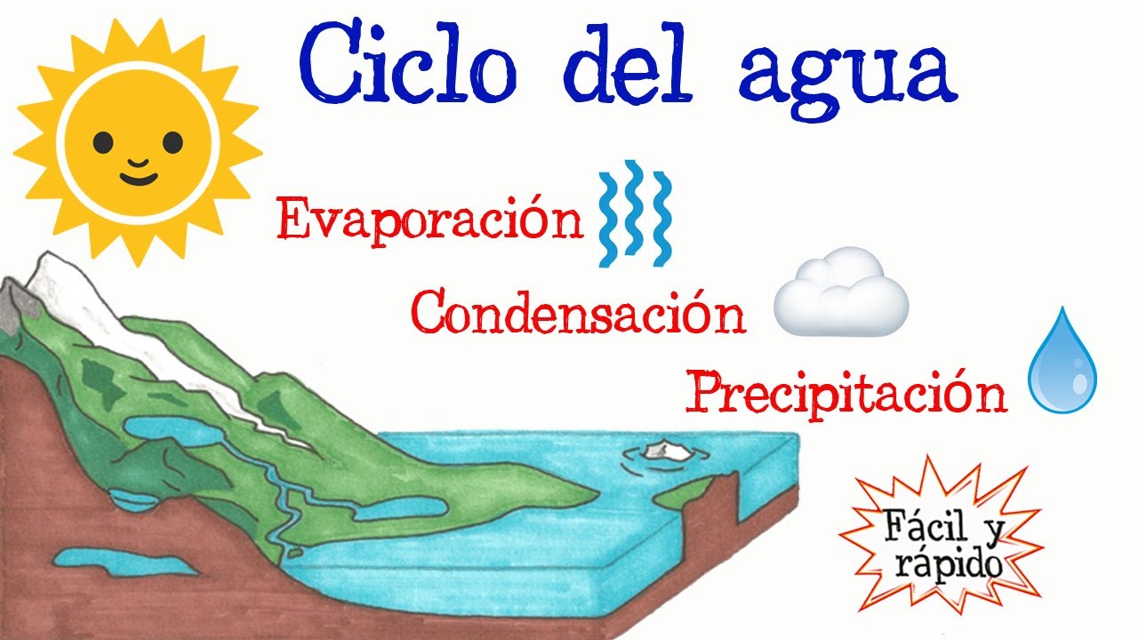 articulo de divulgacion cientifica del ciclo del agua