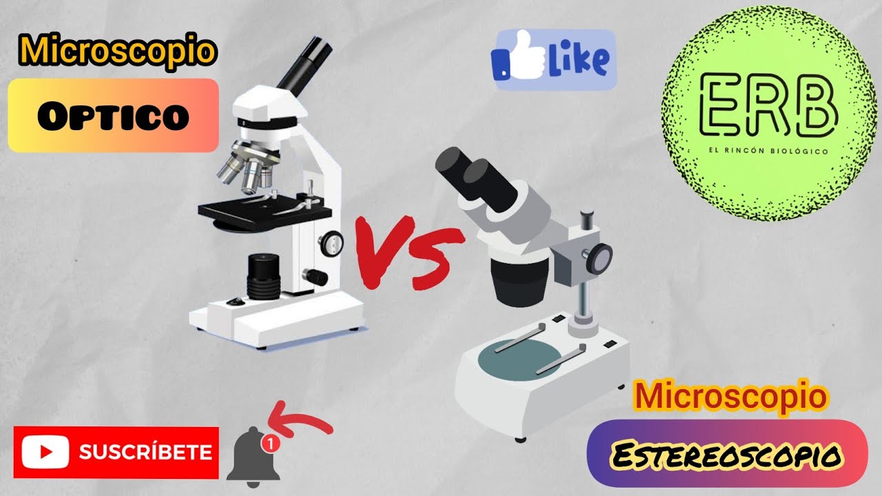 cual es el aumento maximo del microscopio estereoscopico