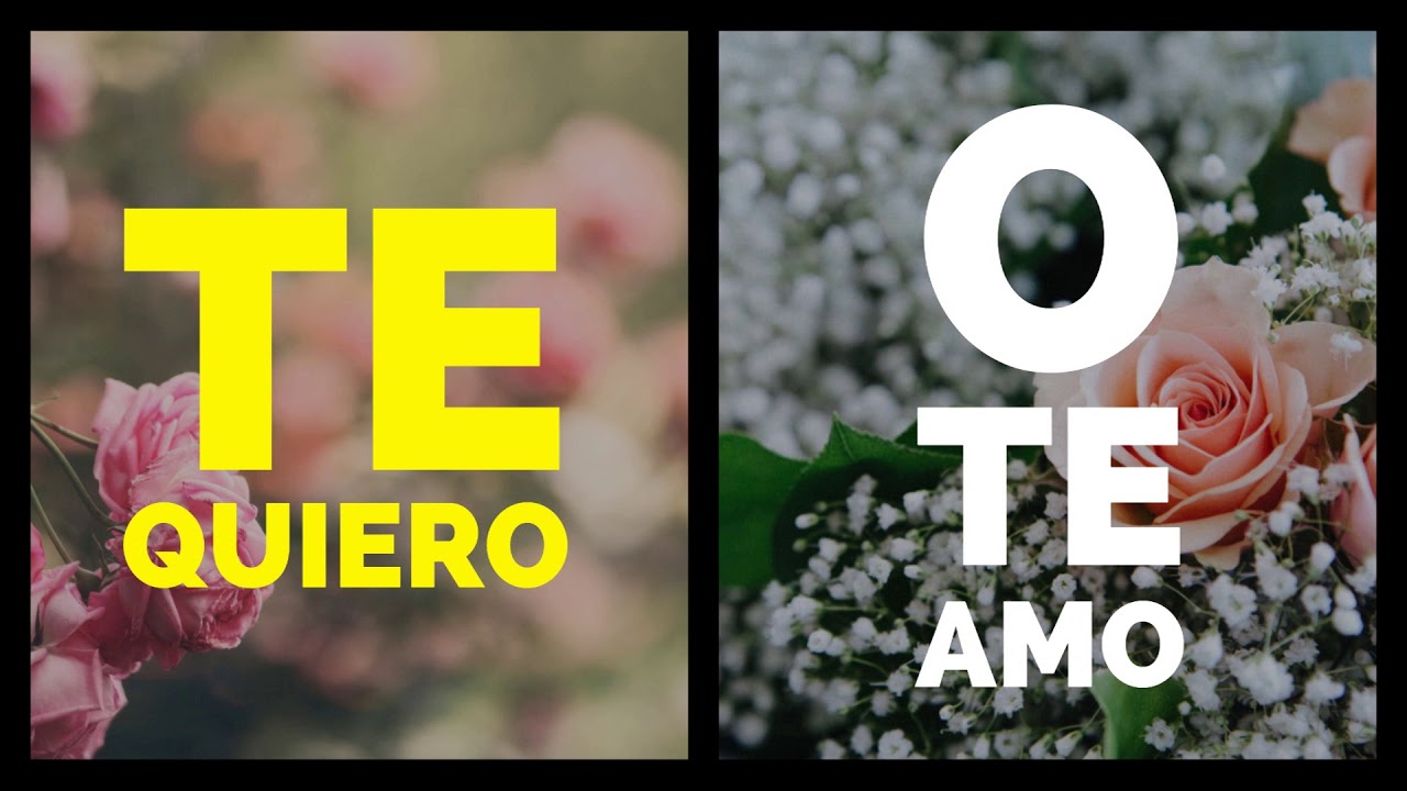 cual es la diferencia de amar y querer
