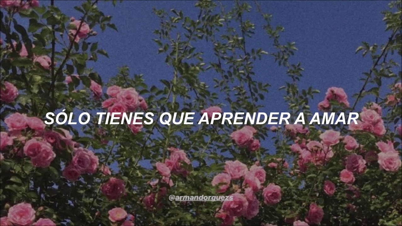 el amor te atrapa y de el nunca escaparas