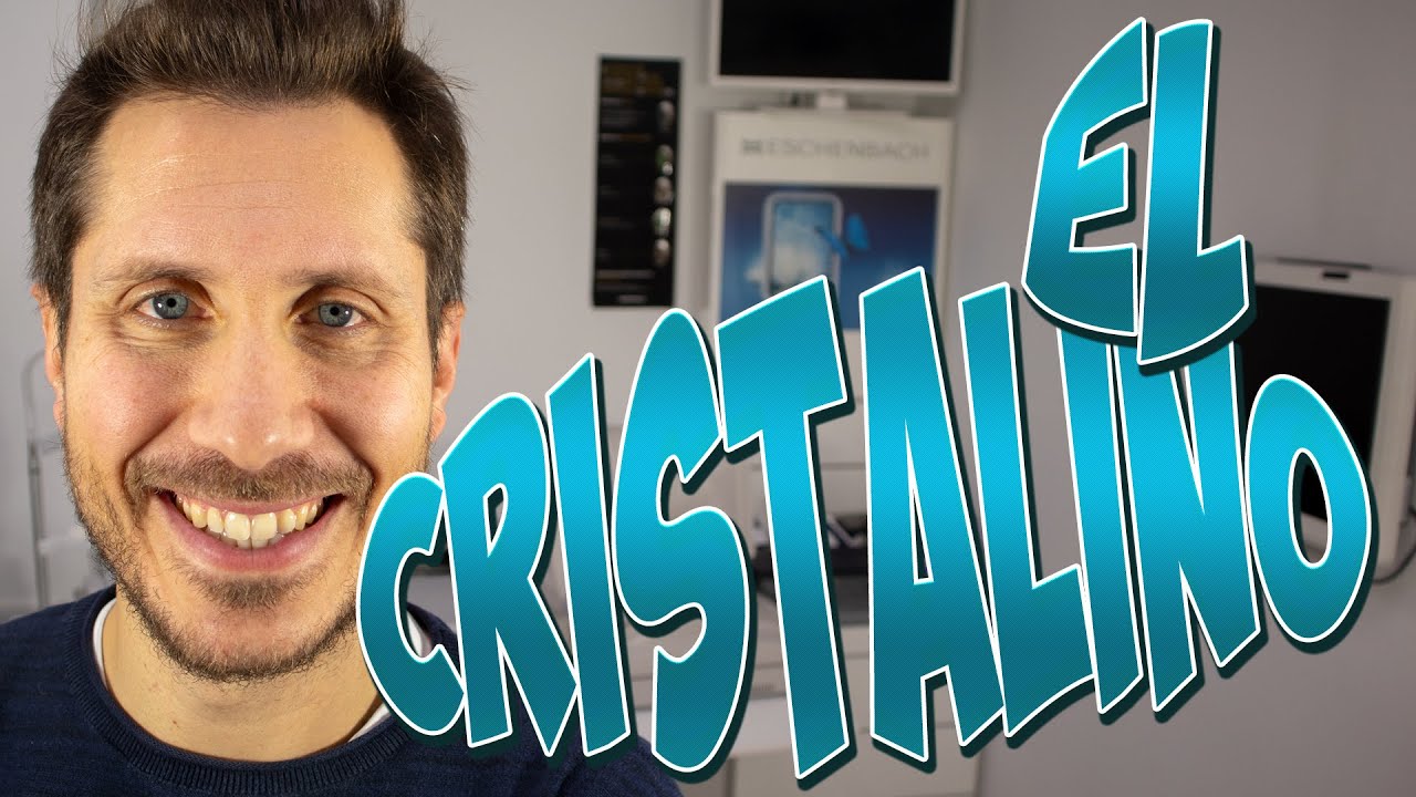 el humor está entre el cristalino y la retina