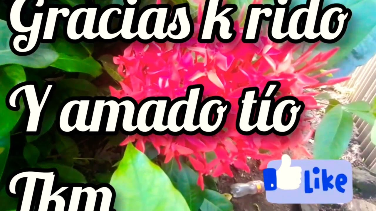 frases para un tio que es como un padre