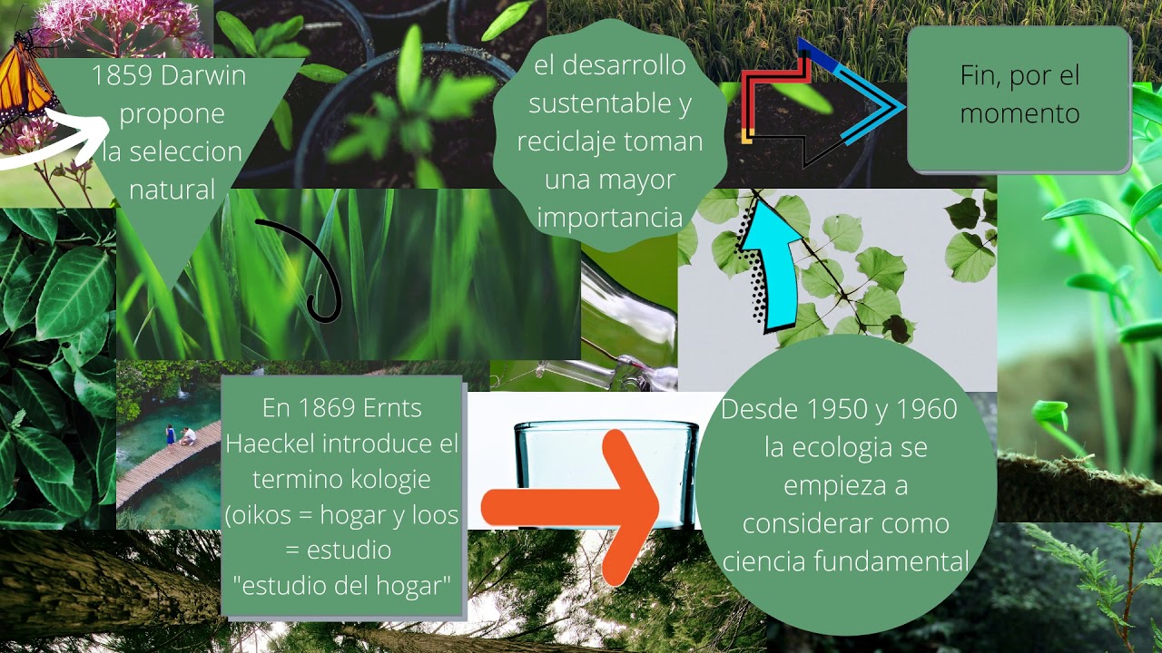 linea del tiempo sobre la historia de la ecologia