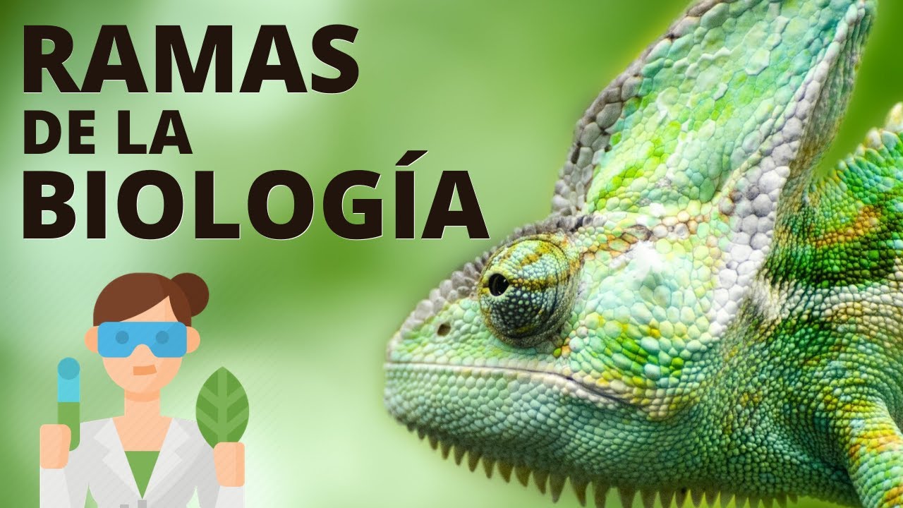 rama de la biología que estudia los organismos