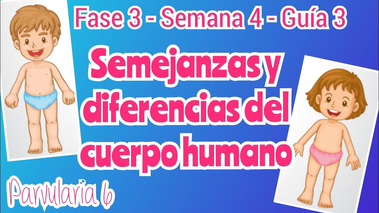 semejanzas entre hombres y mujeres para niños de primaria