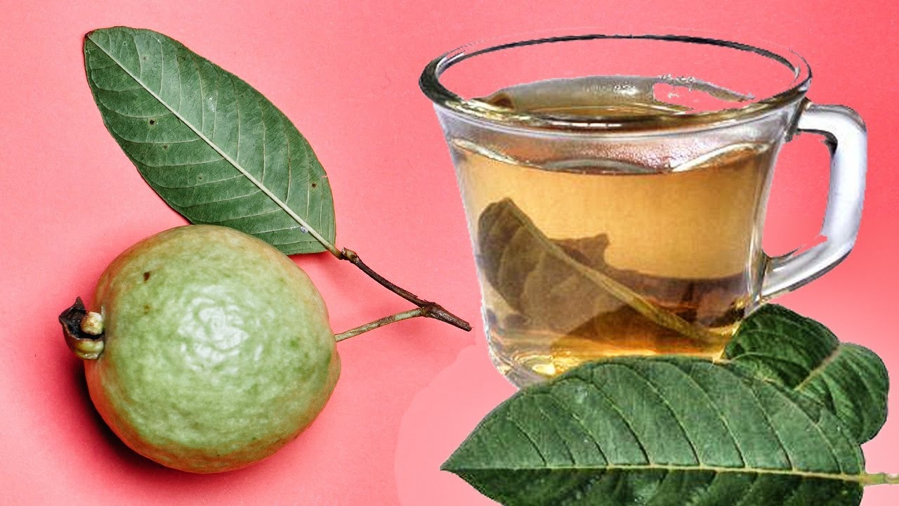 te de hojas de guayaba para la diarrea