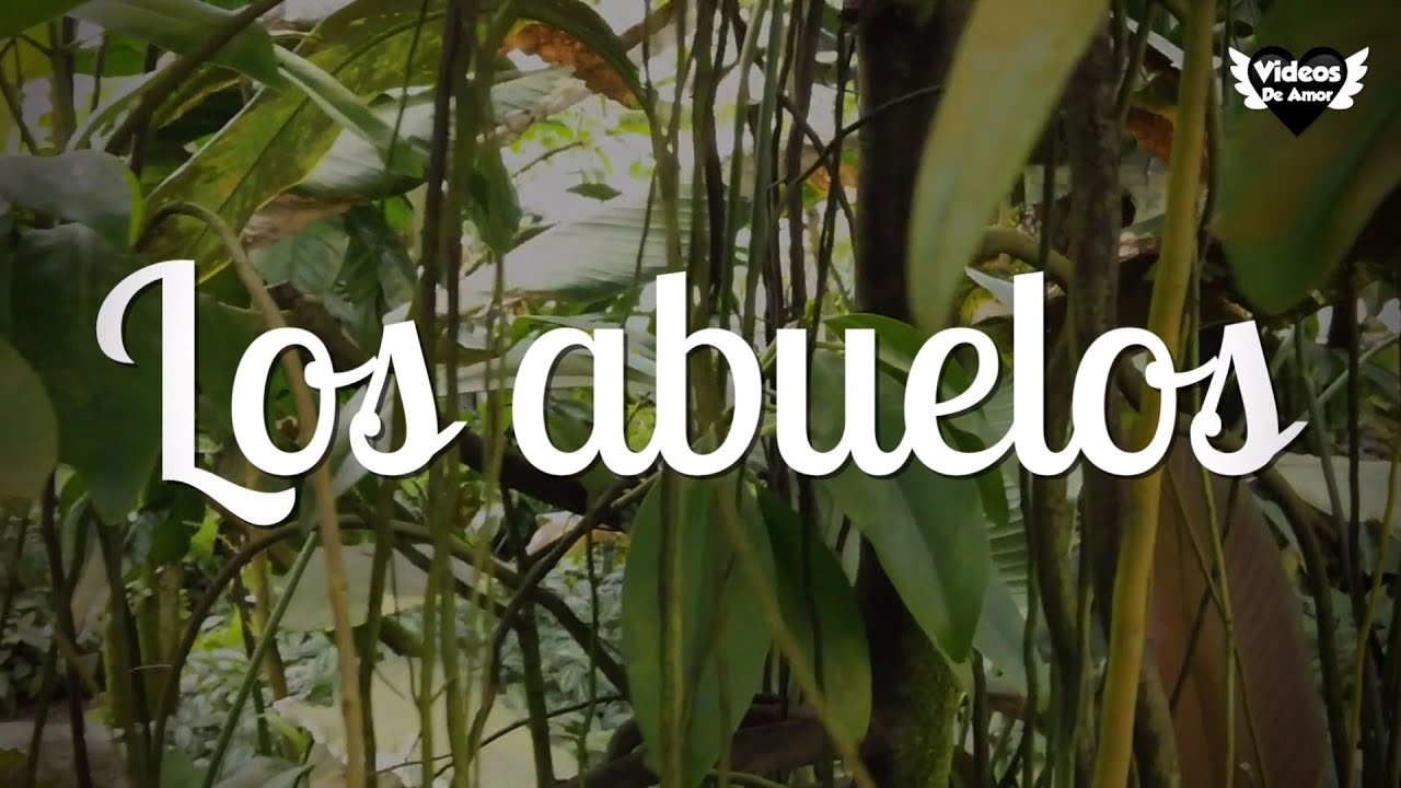 abuelos que no quieren a sus nietos frases