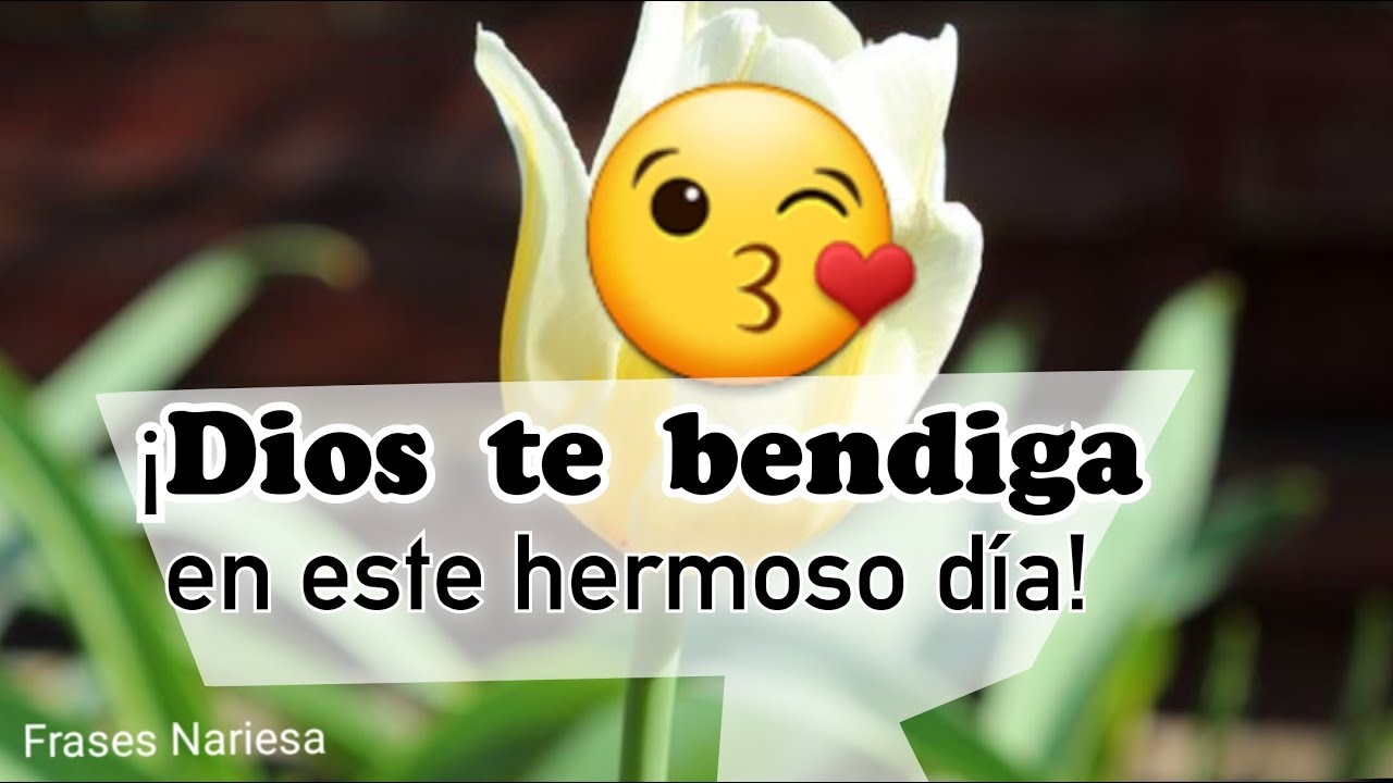 buenos días dios te bendiga en este hermoso día