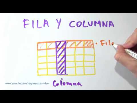 cuáles son las columnas y cuáles son las filas