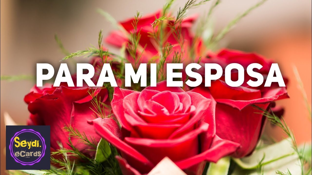 frases para mi esposa en 14 de febrero