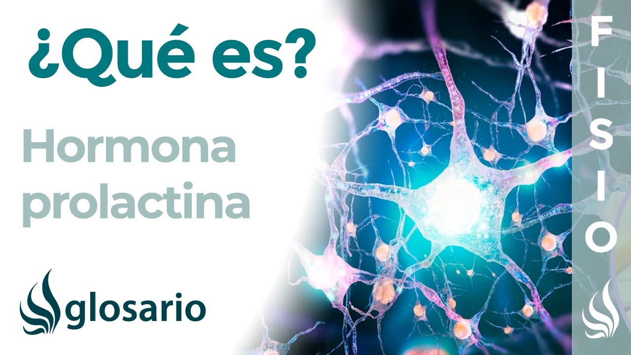 para que sirve la prolactina en los hombres