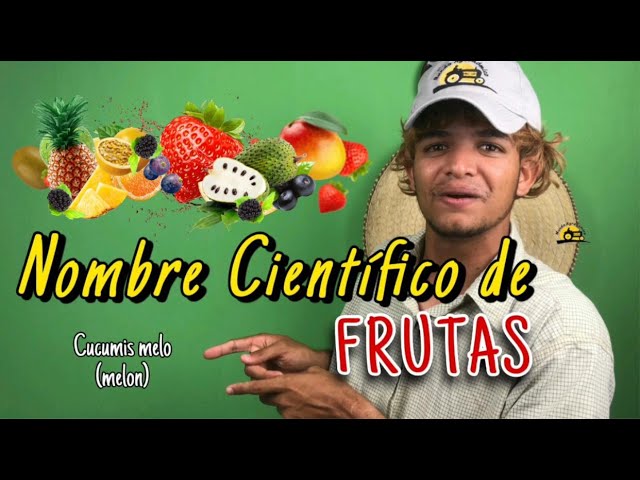 5 nombres de plantas con su nombre cientifico