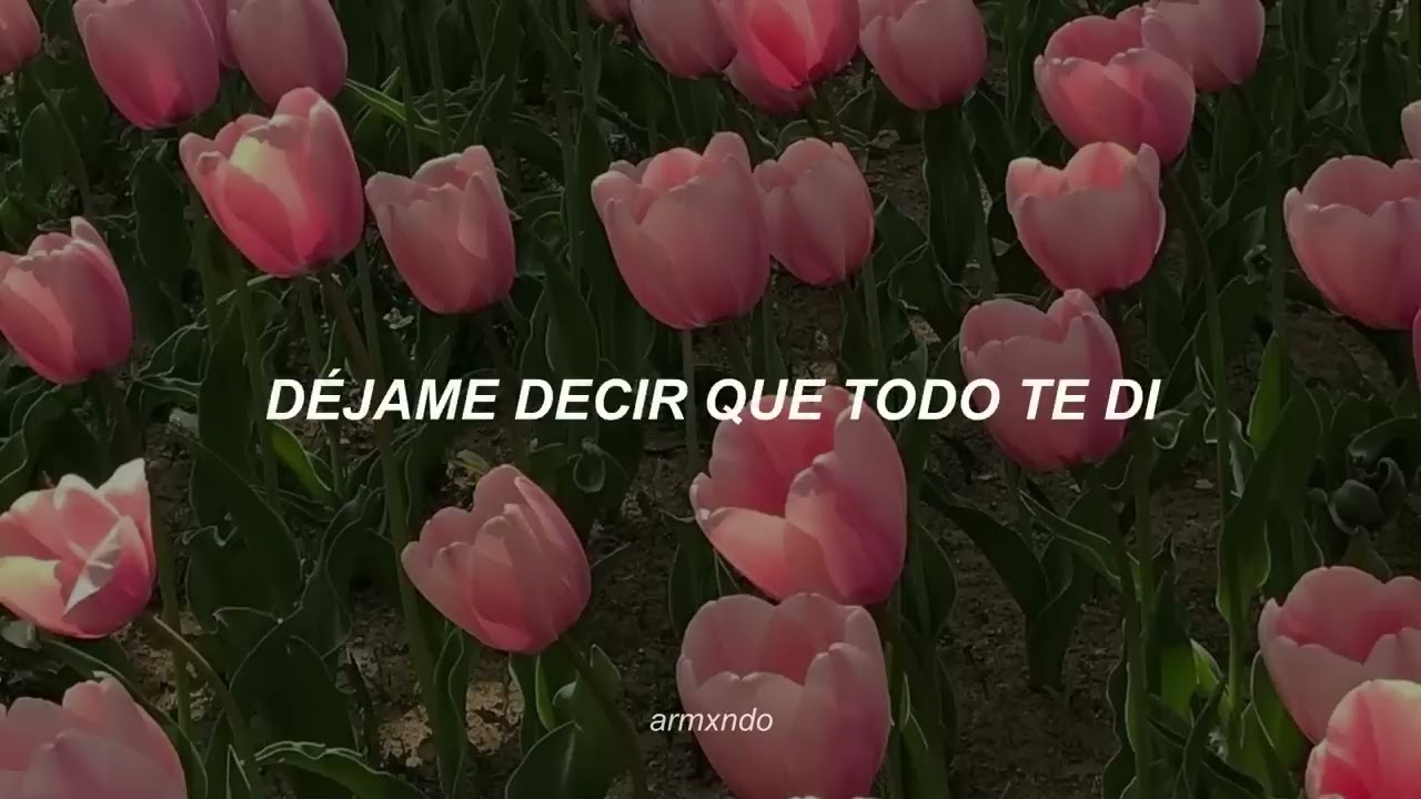 antes que pase mas tiempo contigo amor letra