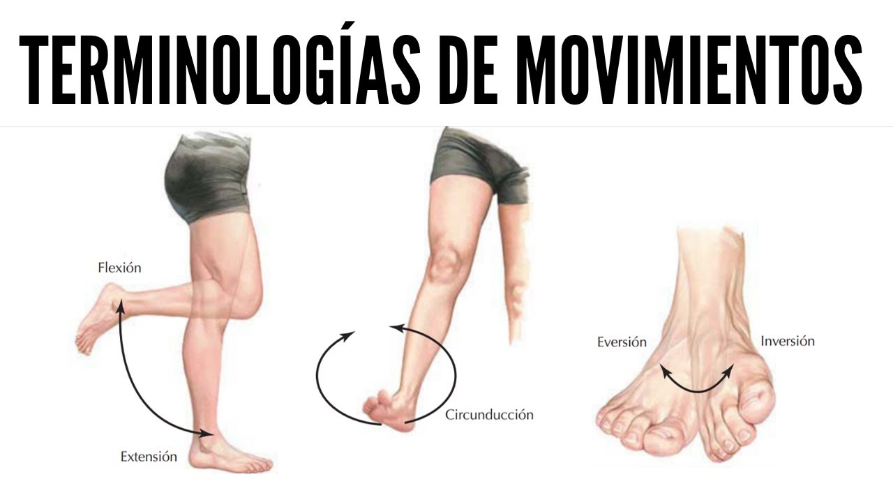 clasificacion y tipos de movimientos corporales en fisioterapia