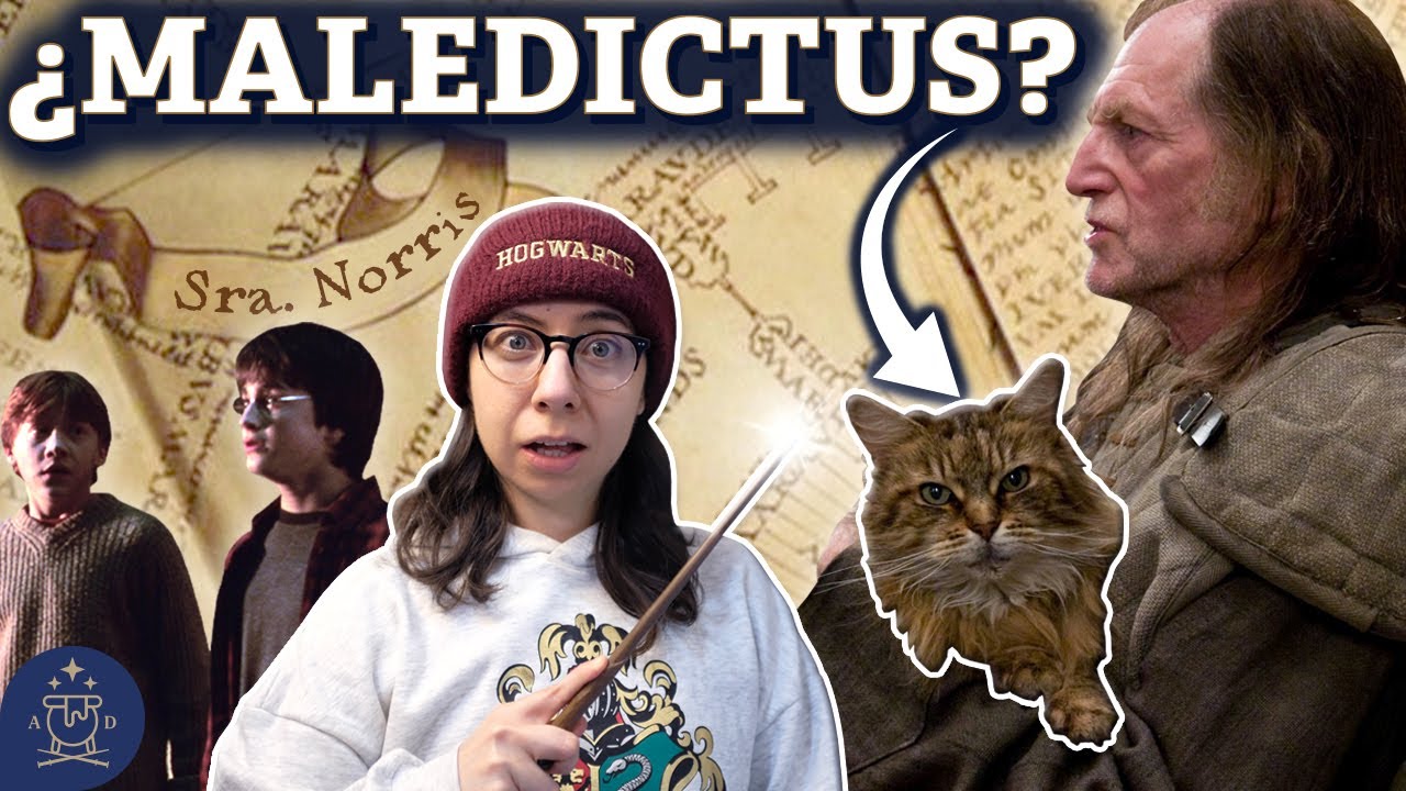 como se llama la gata de harry potter