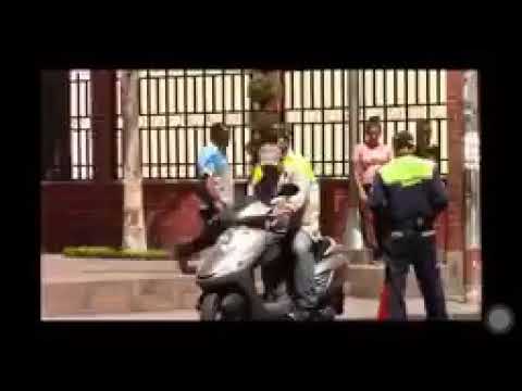 cuantas especies de animales metio moises a su arca