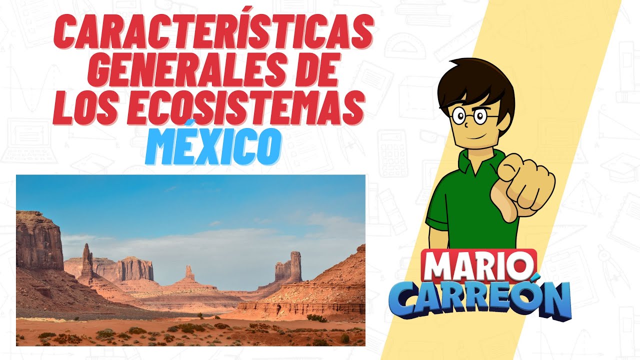 describe las características de dos ecosistemas de méxico