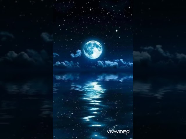 frases bonitas de la luna y el amor