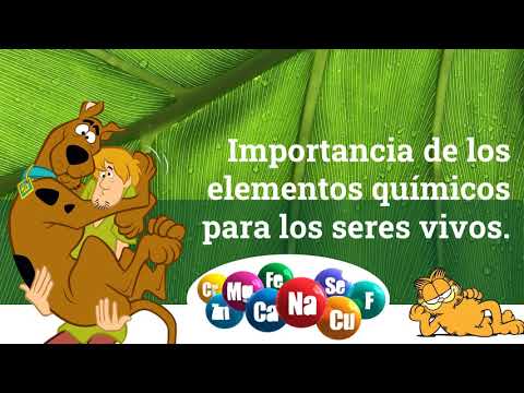 importancia de los elementos quimicos en los seres vivos