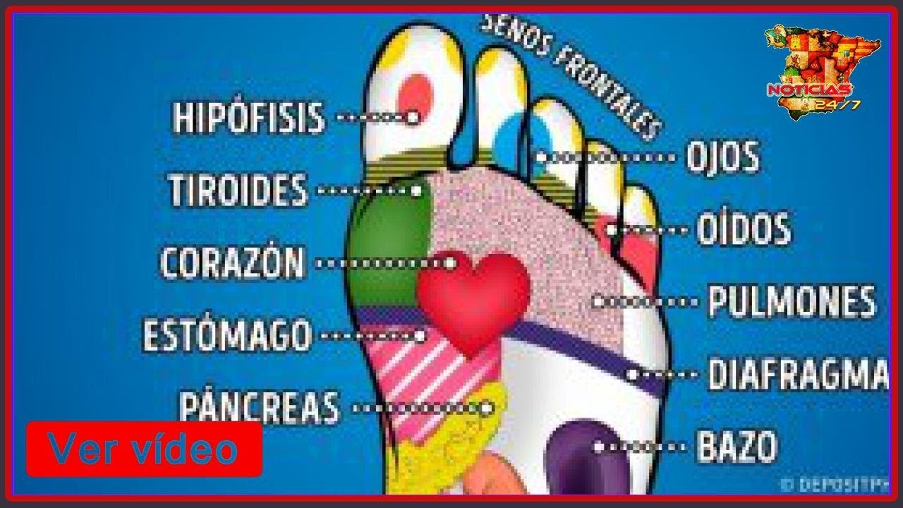 los organos del cuerpo humano en los pies