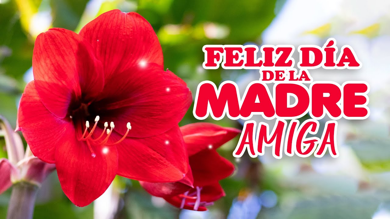 mensaje de dia de las madres a una amiga