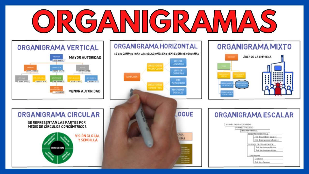 organigrama de una empresa y sus funciones de cada departamento