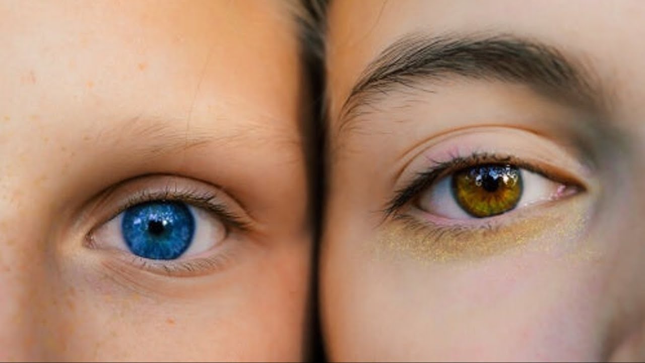 porcentaje de color de ojos en el mundo