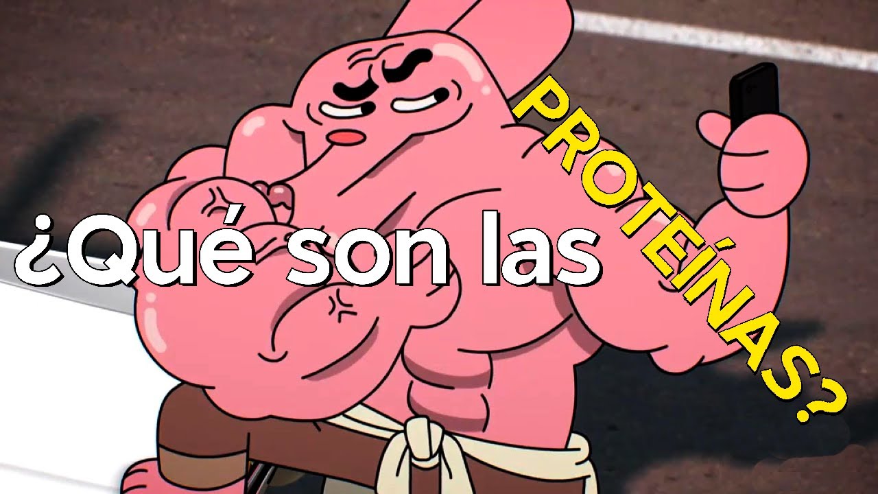 cual es la importancia biologica de las proteinas