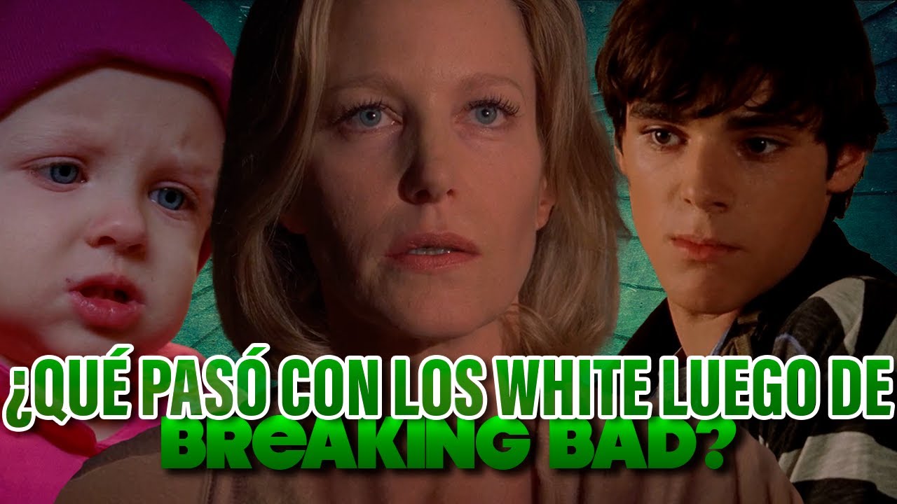 cuanto dinero le dejo walter white a su familia