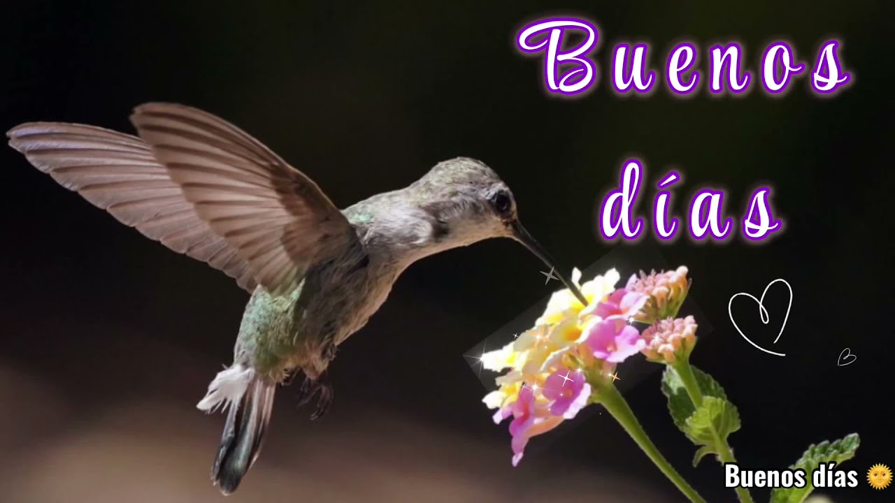 frases para desear buen dia en el trabajo