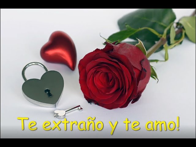 no tienes idea de lo mucho que te extraño