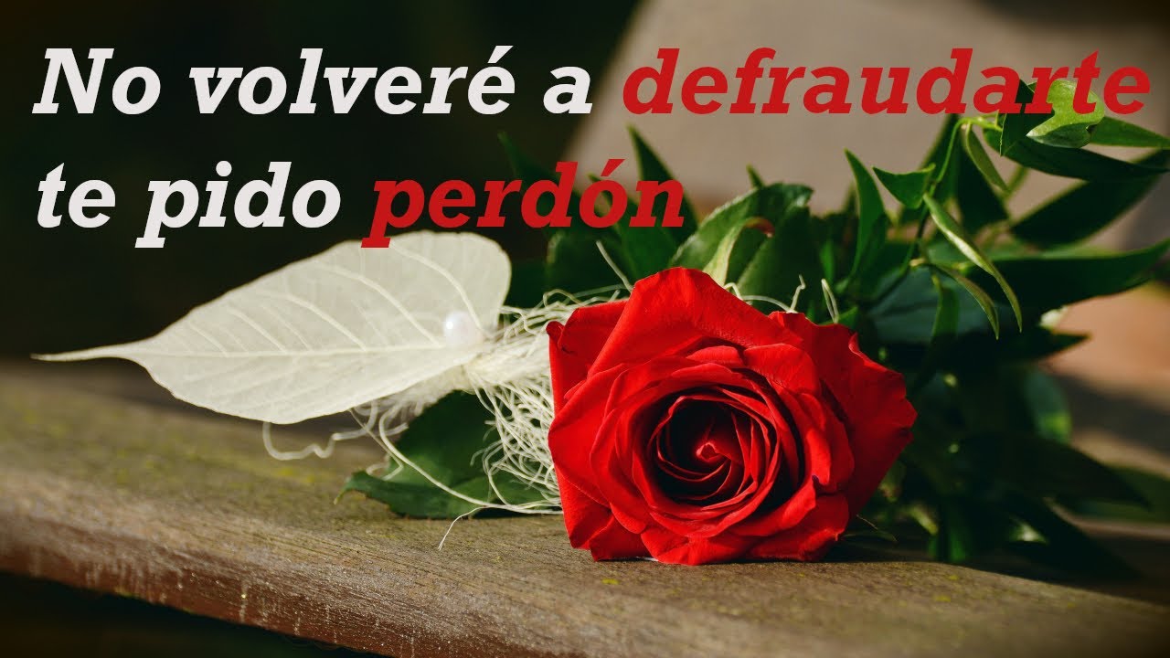 poemas para pedir perdon a mi novia cortos