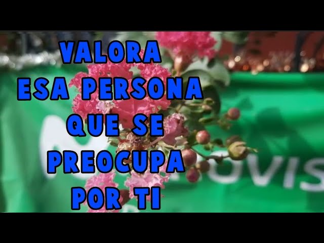 valora a esa persona que se preocupa por ti