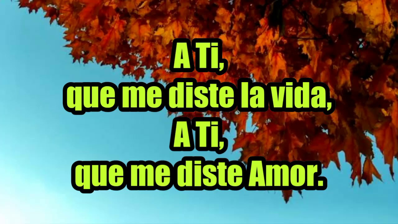 a ti que me diste la vida letra