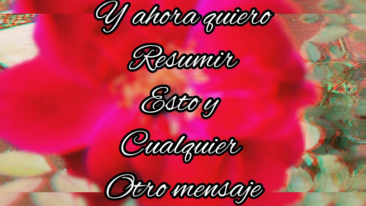carta para mi novio estoy enamorada de ti