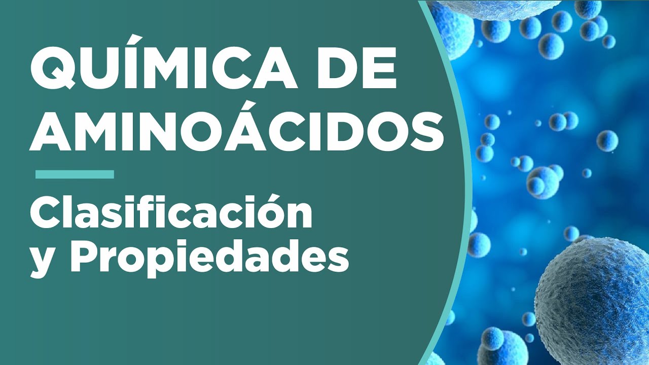 clasificacion de los aminoacidos segun su estructura quimica
