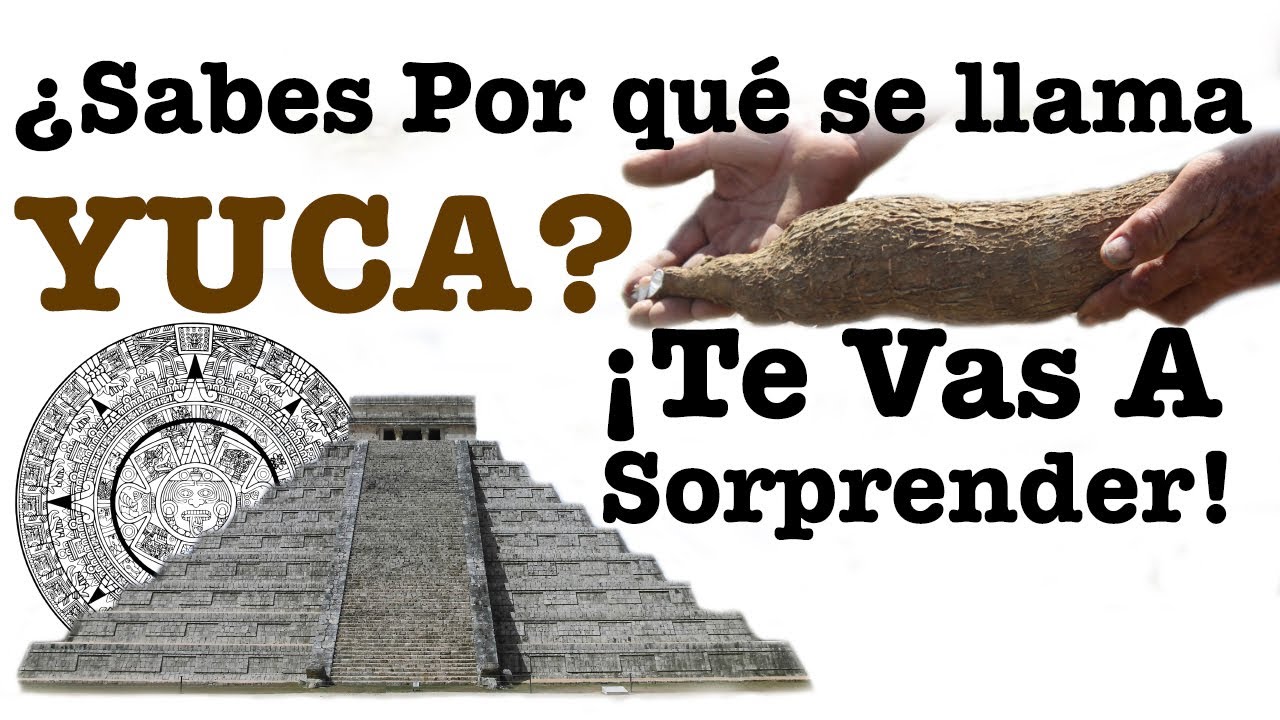 como le dicen a la yuca en mexico