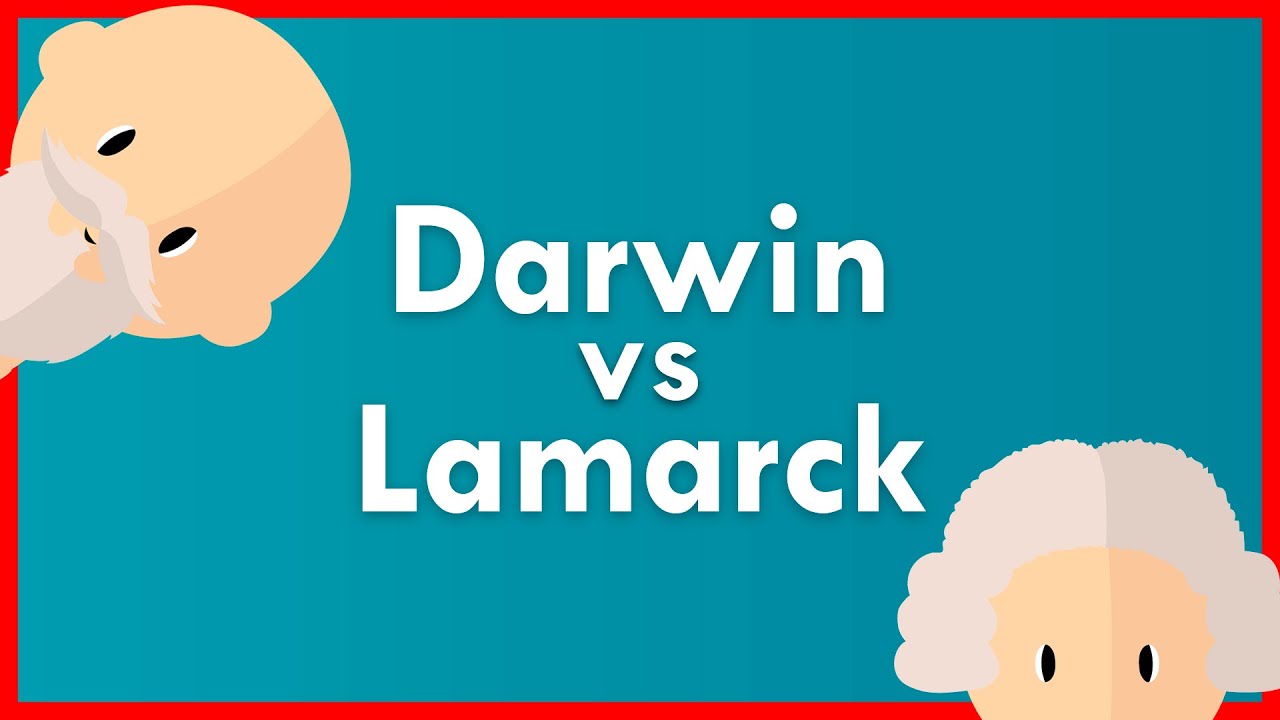 comparacion de las ideas de darwin y lamarck