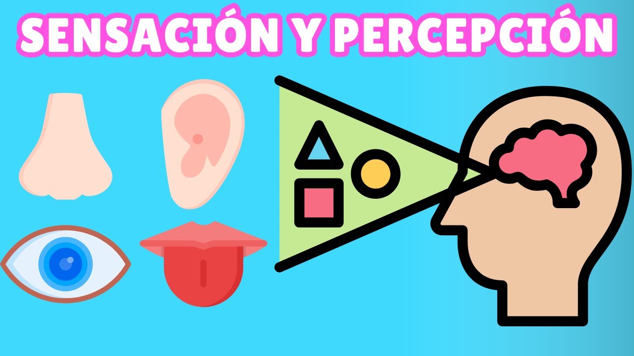 consiste en la percepción directa del objeto de investigación
