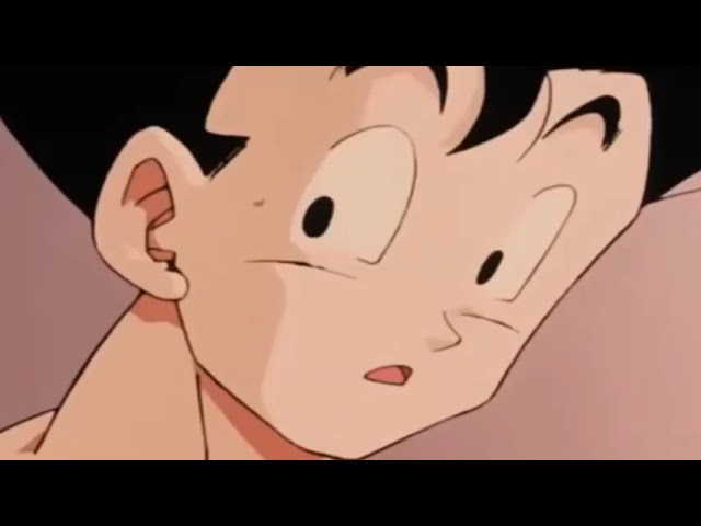dragon ball z pelea completa de majin buu