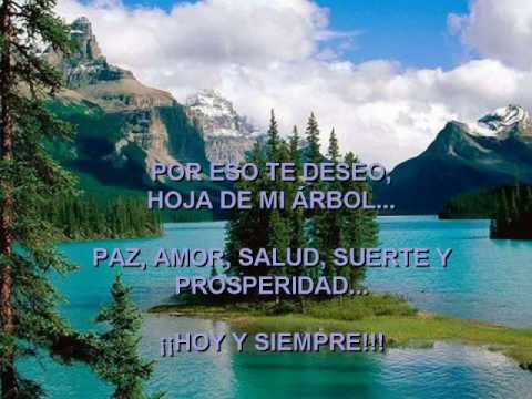 el árbol de amigos reflexión sobre la amistad