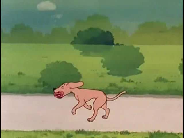 el perro y su reflejo en el rio