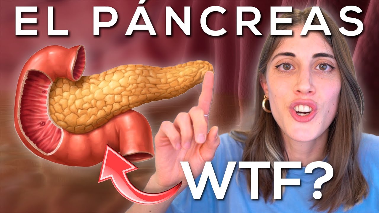 funcion del pancreas en el sistema digestivo humano