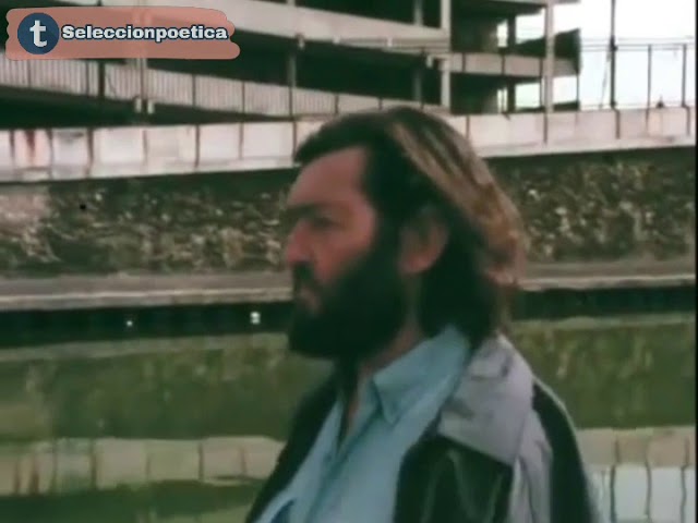 julio cortazar no fuiste el amor de mi vida