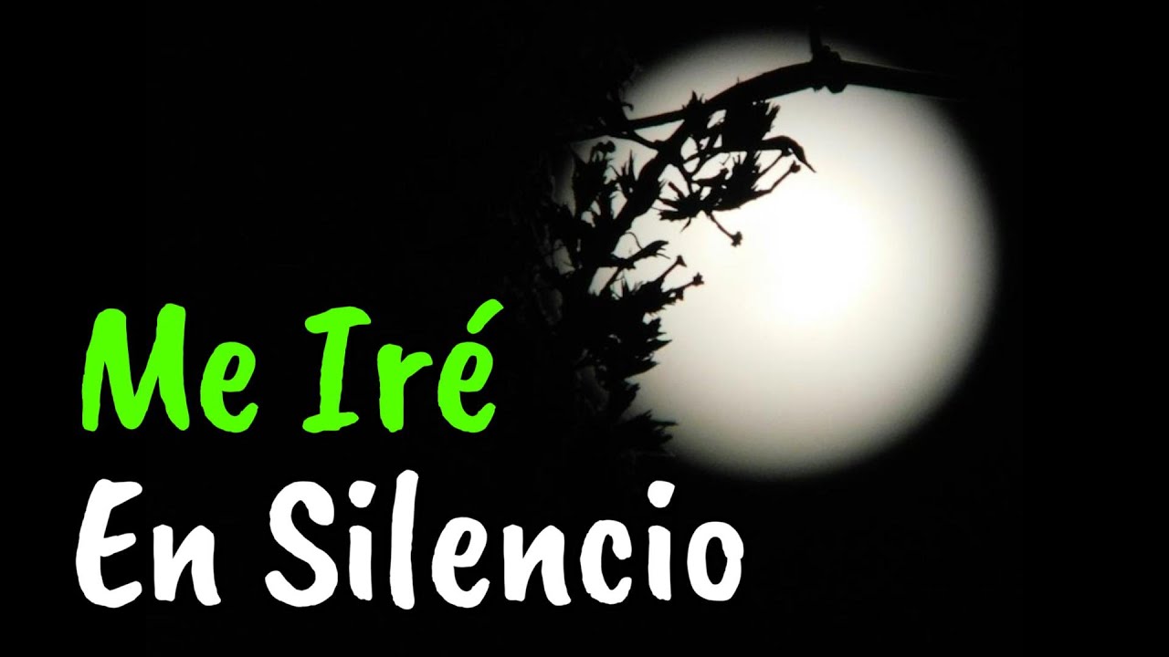 no me ire sin decirte a donde voy frases