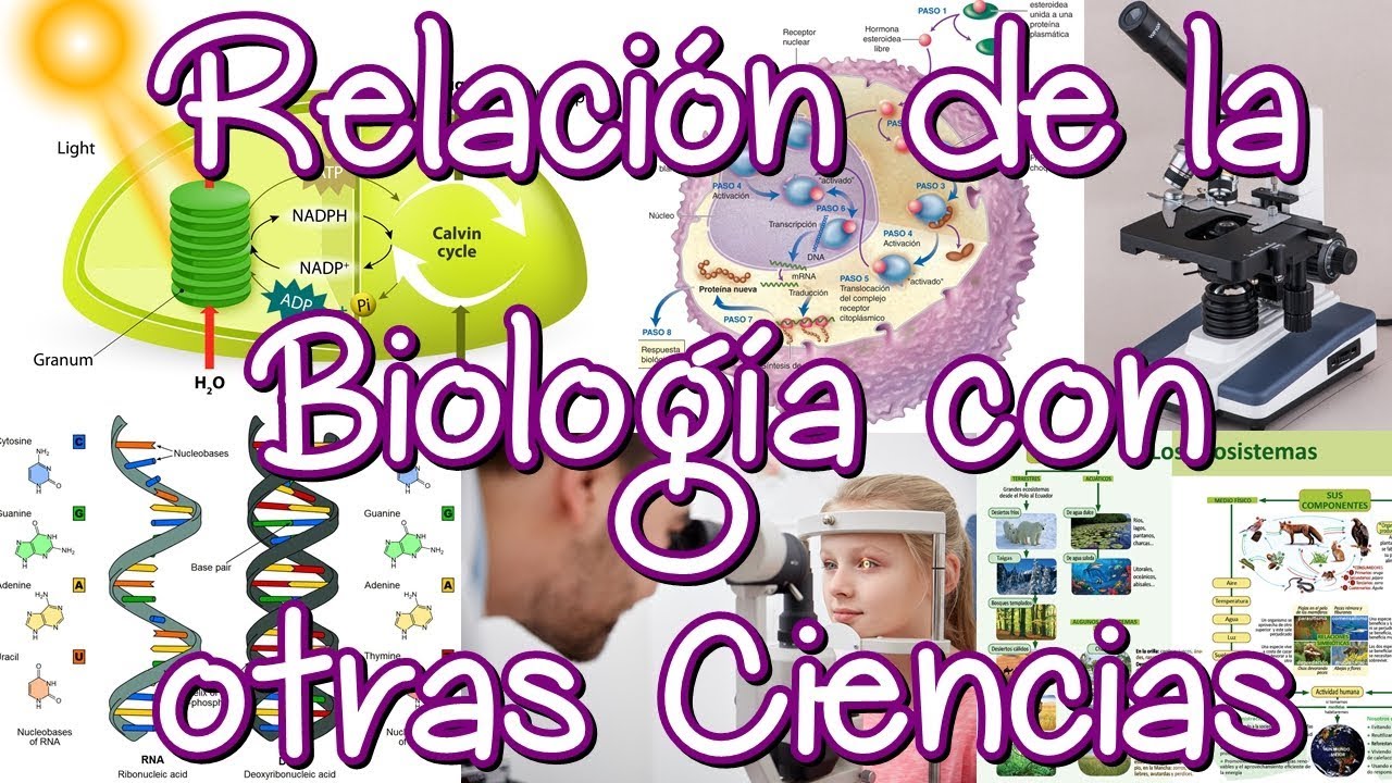 como se relaciona la fisica con la biologia