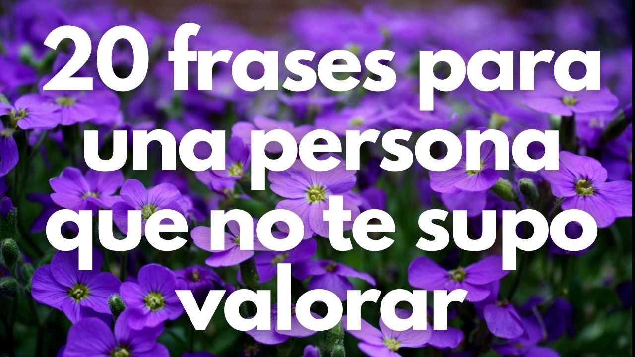 frases para alguien que no te supo valorar