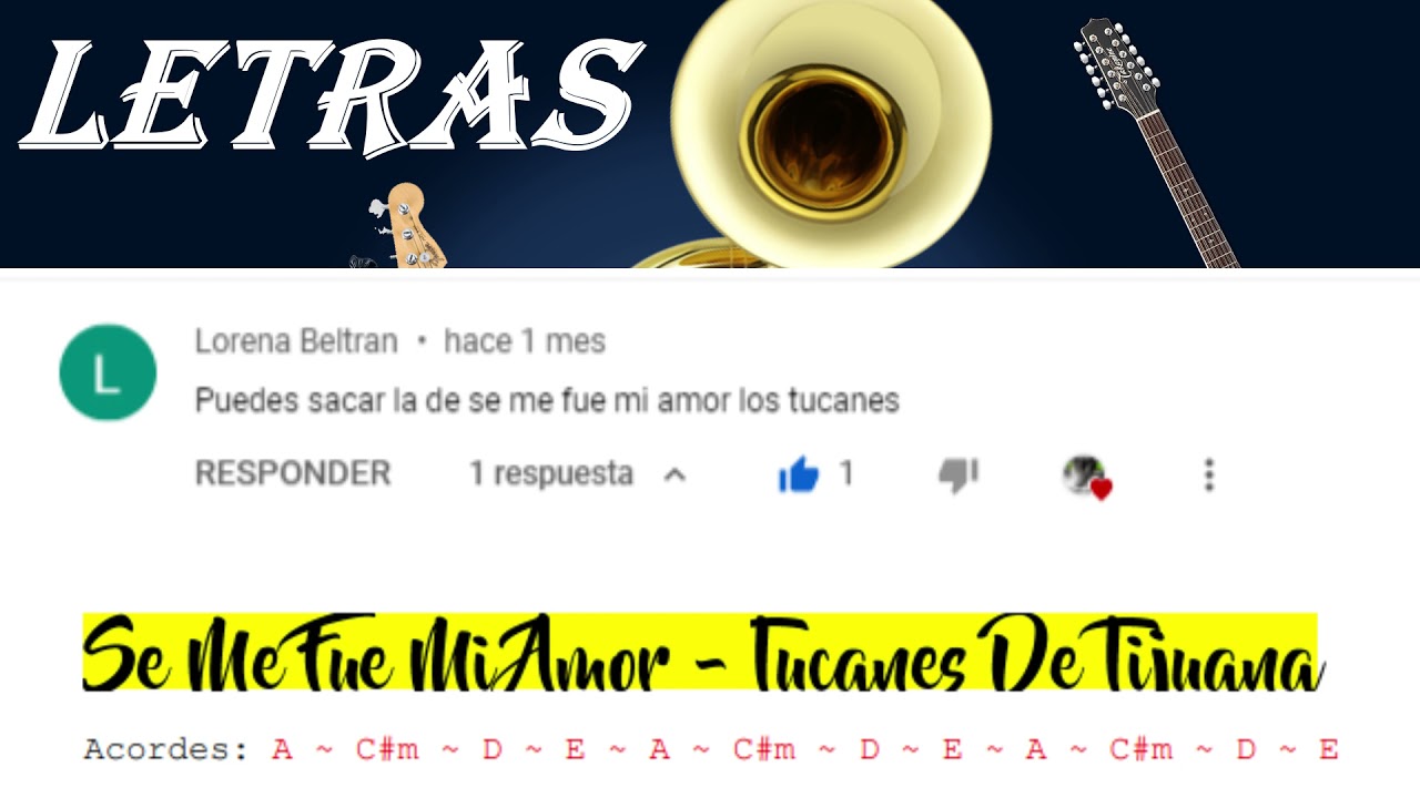se me fue mi amor letra y acordes